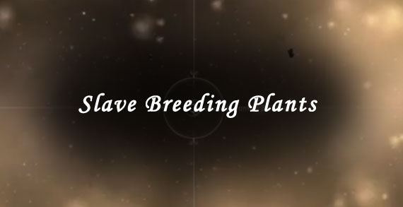 slave breeding plants