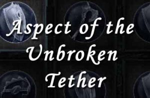 Aspect of the Unbroken Tether