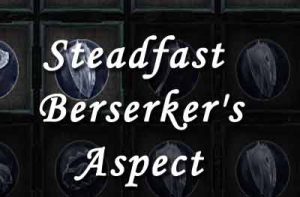 Steadfast Berserker's Aspect