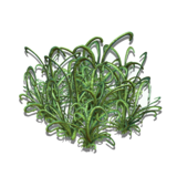 Looping Grass