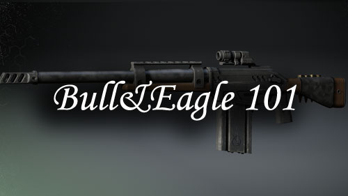 Bull&Eagle 101