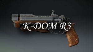 K-DOM R3