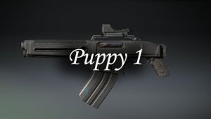 Puppy 1
