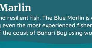 palia blue marlin