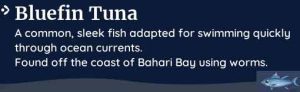 palia bluefin tuna