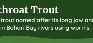 palia cutthroat trout