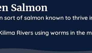 palia golden salmon