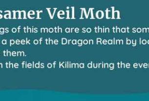 palia gossamer veil moth