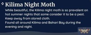 palia kilima night moth