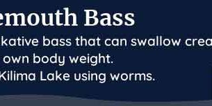 palia largemouth bass