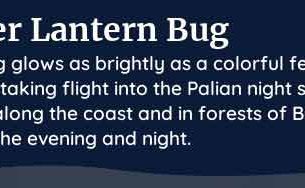 palia paper lantern bug