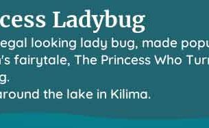 palia princess ladybug