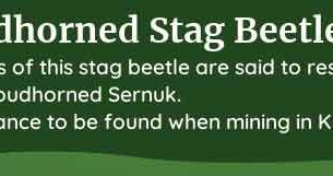 palia proudhorned stag beetle