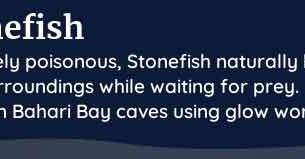 palia stonefish