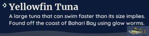palia yellowfin tuna