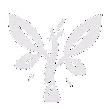 Druid — Spiritvale Class icon