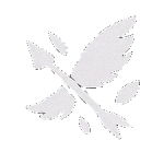 Ranger — Spiritvale Class icon