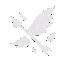 Ranger — Spiritvale Class icon