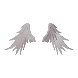 Vitae’s Gift — Spiritvale Cosmetic icon