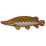 Alligator Gaa — Spiritvale Material icon