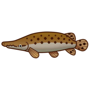 Alligator Gaa — Spiritvale Material icon