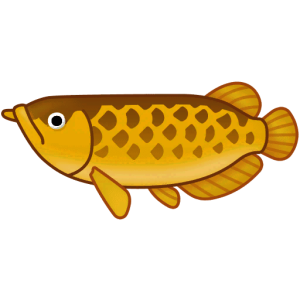 Arowana — Spiritvale Material icon
