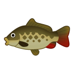 Carp — Spiritvale Material icon