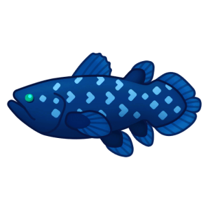Coelacanth — Spiritvale Material icon