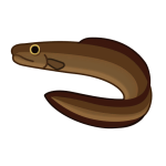 Daggertooth — Spiritvale Material icon