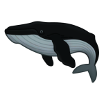 Humpback Whale — Spiritvale Material icon