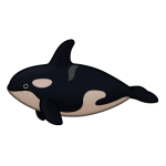 Killer Whale — Spiritvale Material icon