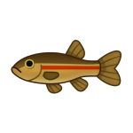 Kumgang Fat Minnow — Spiritvale Material icon