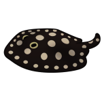 Leopoldi — Spiritvale Material icon
