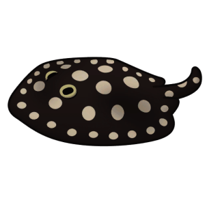 Leopoldi — Spiritvale Material icon