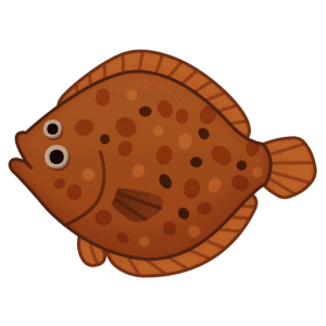Olive Flounder — Spiritvale Material icon