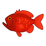 Orange Roughy — Spiritvale Material icon
