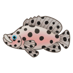 Panther Grouper — Spiritvale Material icon