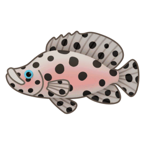 Panther Grouper — Spiritvale Material icon