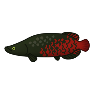 Pirarucu — Spiritvale Material icon