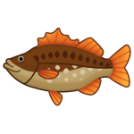 Sea Bass — Spiritvale Material icon