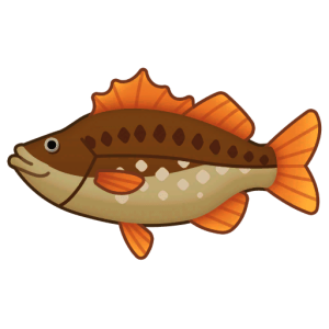 Sea Bass — Spiritvale Material icon