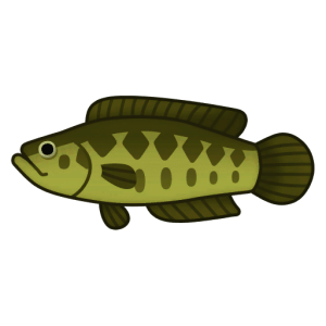 Snakehead — Spiritvale Material icon