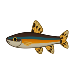 Splendidus — Spiritvale Material icon
