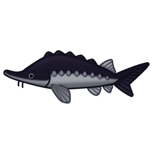 Sturgeon — Spiritvale Material icon