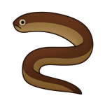 Swamp Eels — Spiritvale Material icon