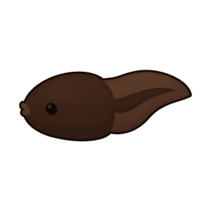 Tadpole — Spiritvale Material icon