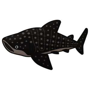 Whale Shark — Spiritvale Material icon