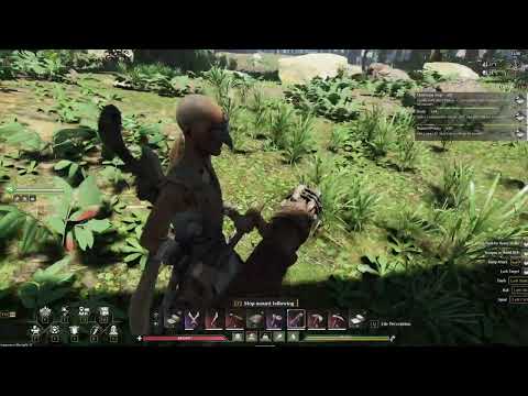 Basics of Raiding on Official Servers Video