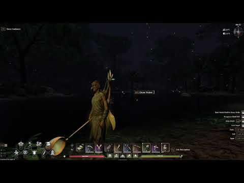 Capturing Fireflies Video